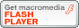 Flash Playerボタン